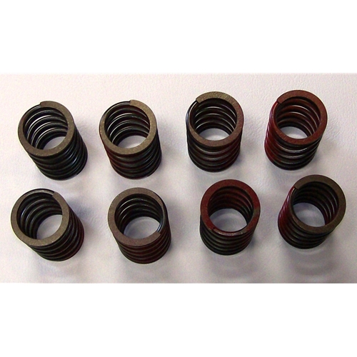 Valve Spring Set