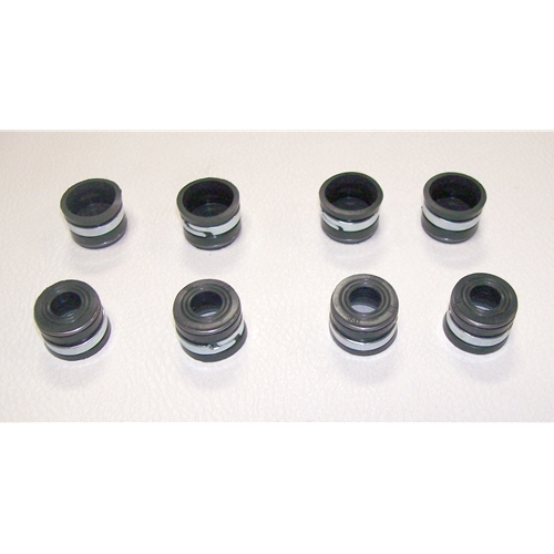 Valve Stem Seal Kit