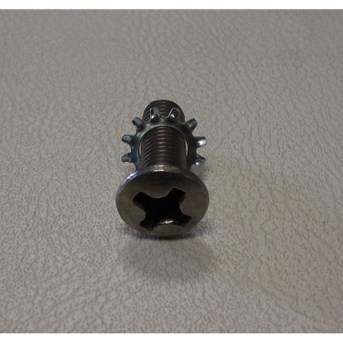 Door Hinge Screw