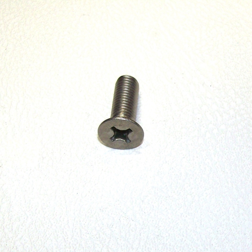 Early Rear Door Post Striker Screw