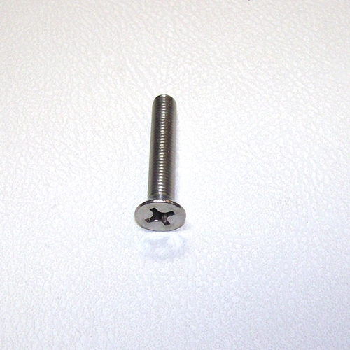 Late Rear Door Post Striker Screw